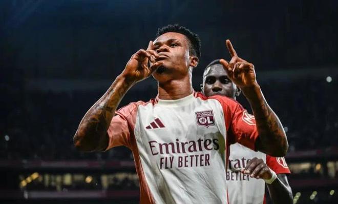 的普遍比例 的普遍比例