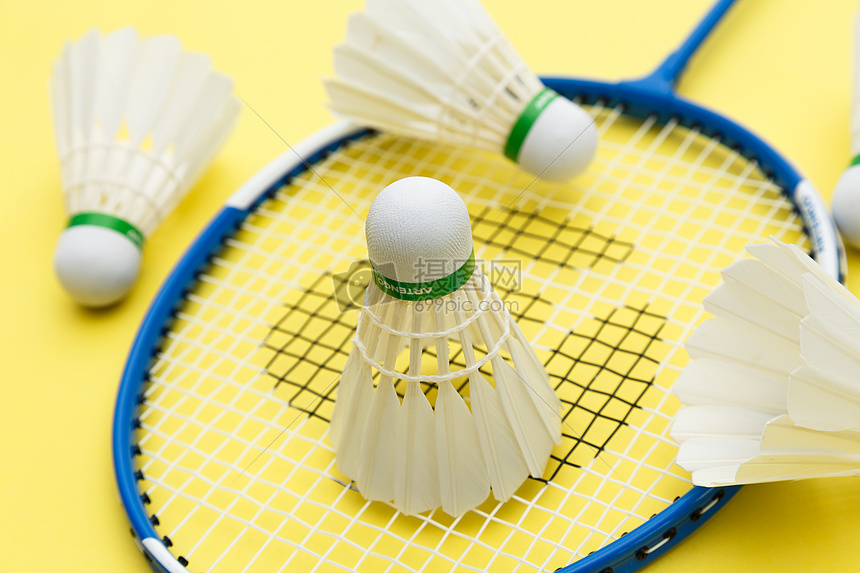 成功共建条 成功共建条