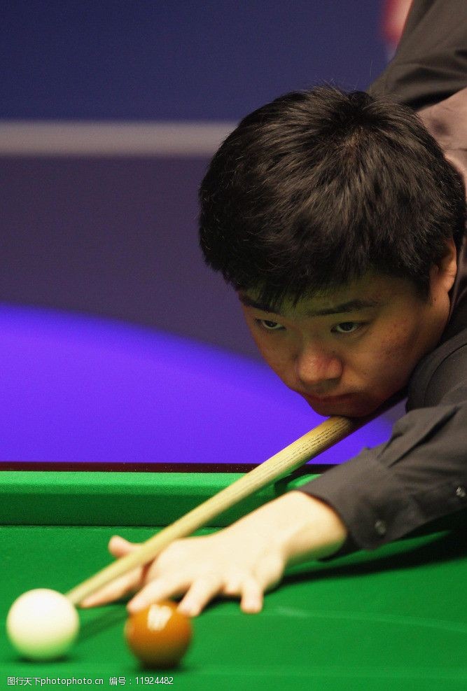 重新落定 重新落定